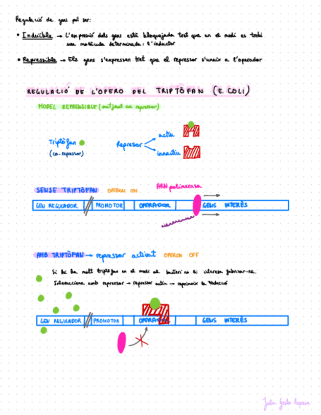 Miniatura del documento GENETICA.-Regulacio-opero-triptofan-Modul-4..pdf