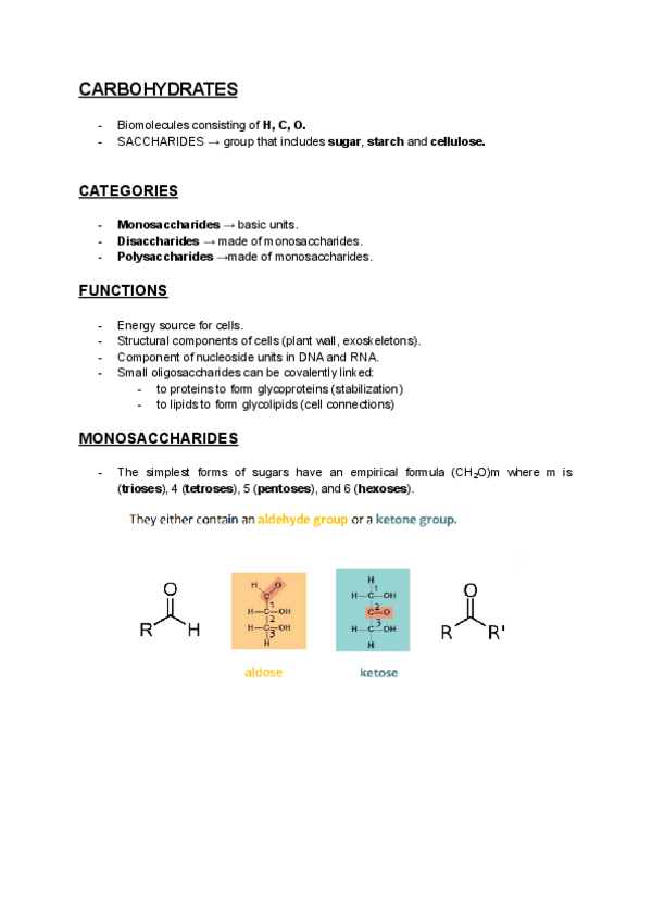 Miniatura del documento CARBOHYDARATES.pdf
