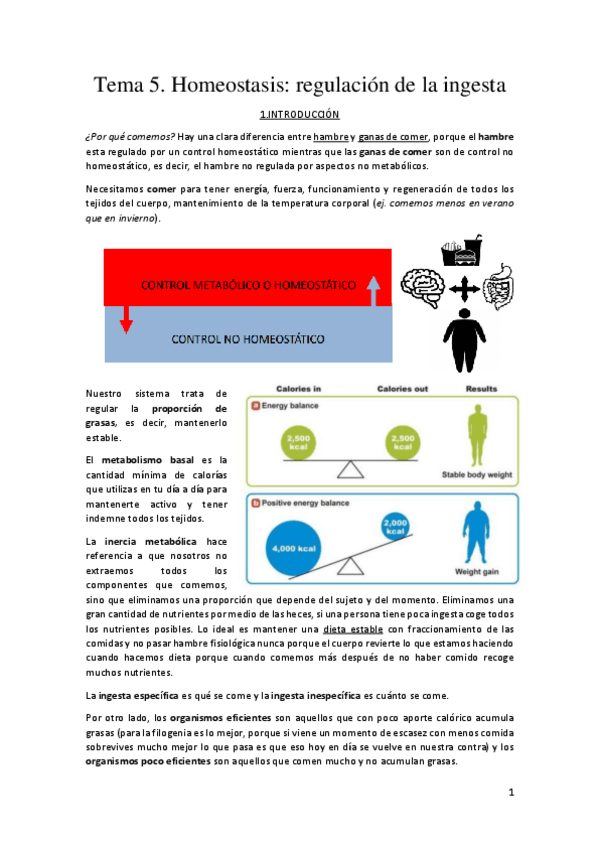 Miniatura del documento Tema-5-Pilar-Herreros.pdf