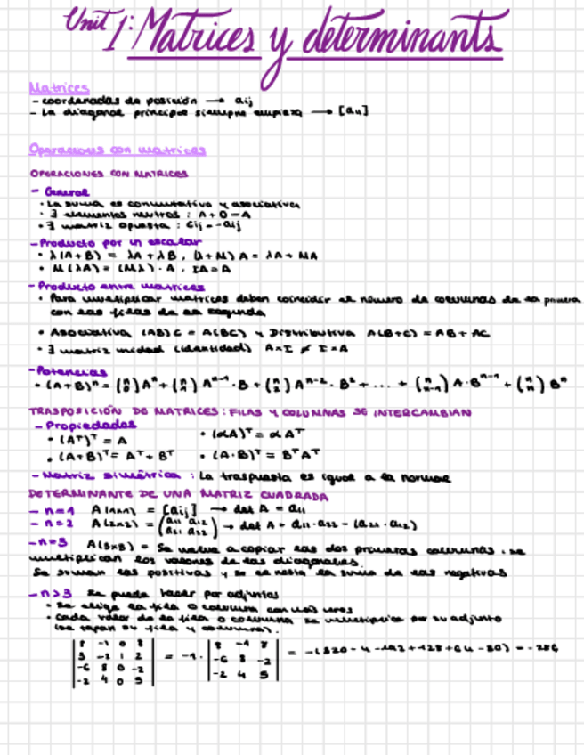 Miniatura del documento Theory-1-and-3-Linear-Algebra.pdf