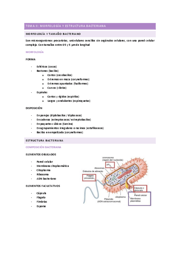 Miniatura del documento TEMA-2.pdf
