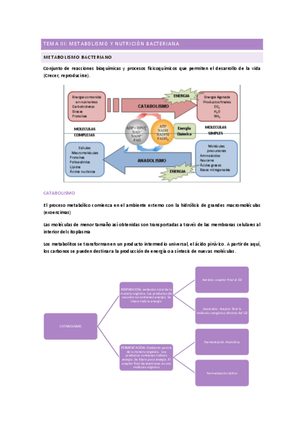 Miniatura del documento TEMA-3.pdf