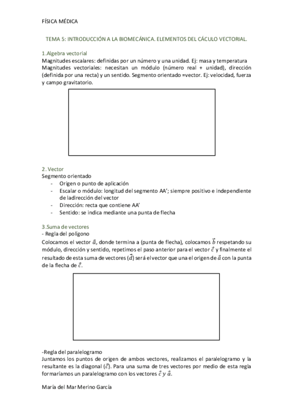 Miniatura del documento VECTORES.pdf
