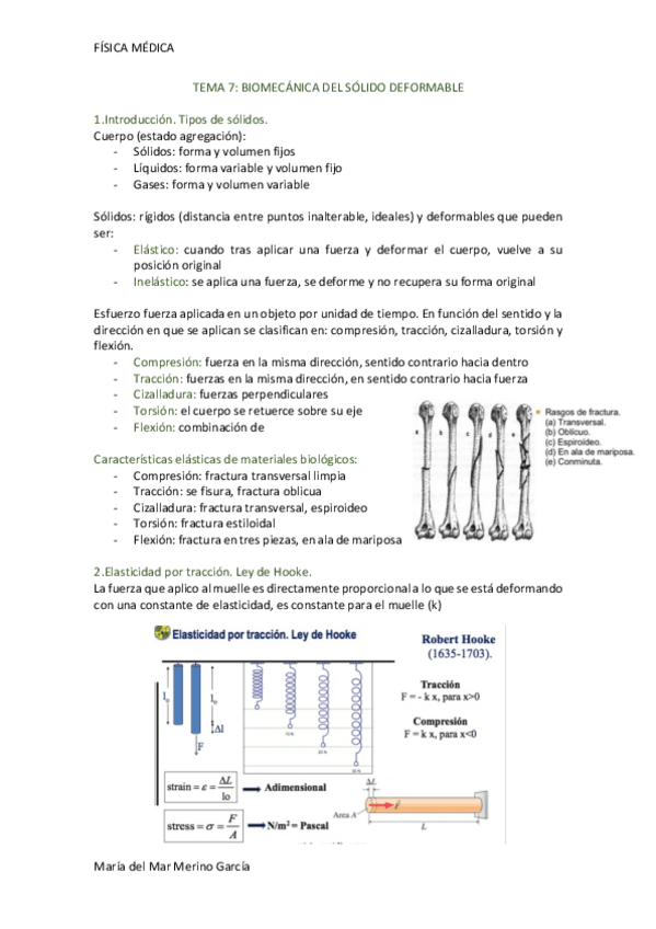 Miniatura del documento SOLIDO DEFORMABLE.pdf