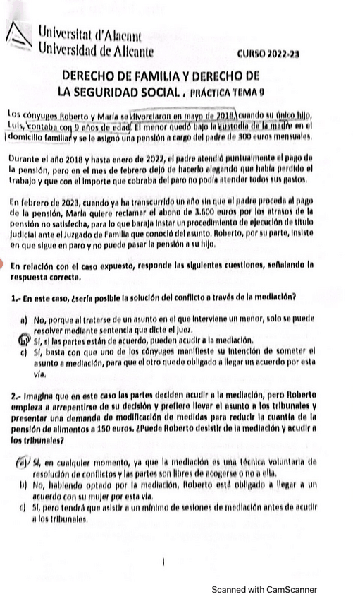 Miniatura del documento derecho-de-familia-practica-tema-9.pdf