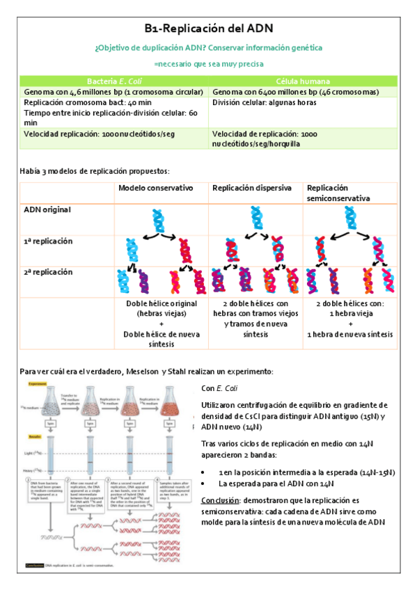 Miniatura del documento GEM-Unidad-B.pdf