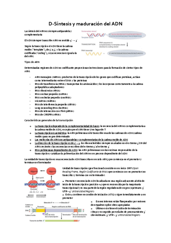 Miniatura del documento GEM-Unidad-D.pdf