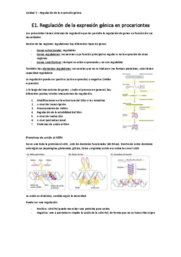 Miniatura del documento GEM-Unidad-E.pdf