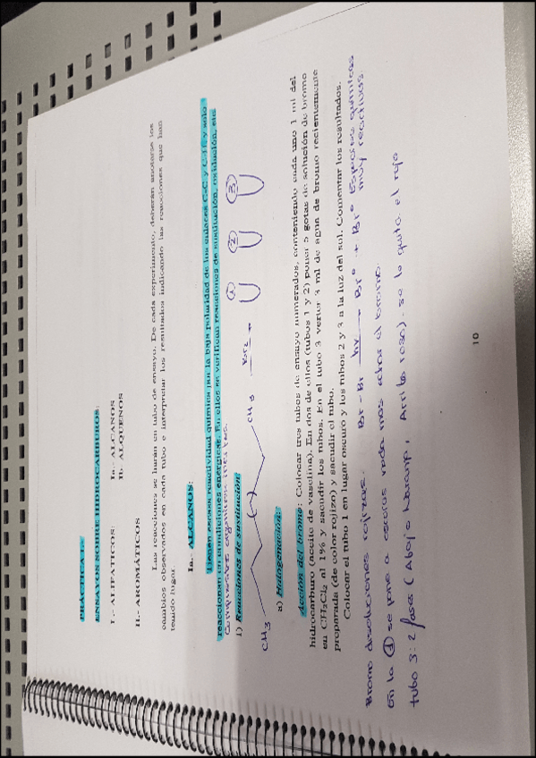 Miniatura del documento soluciones guia organica 1.pdf