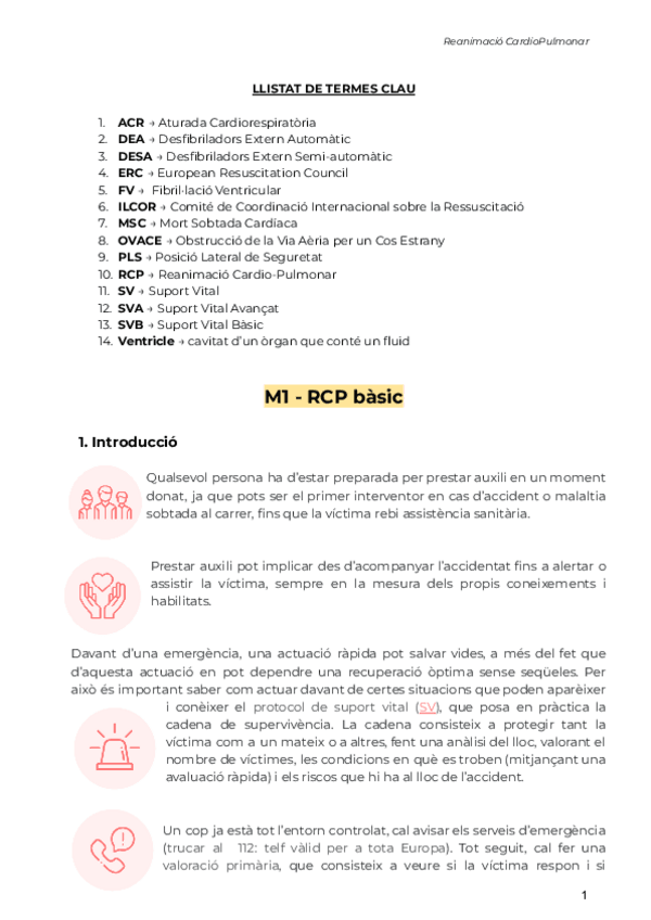 Miniatura del documento RCP-primers-auxilis.pdf