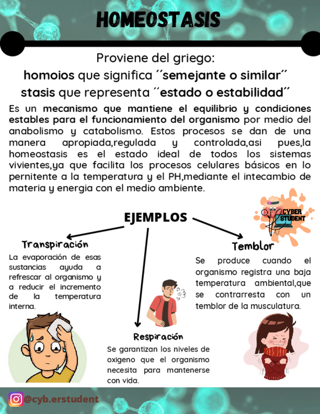 Miniatura del documento HOMEOSTASIS.pdf