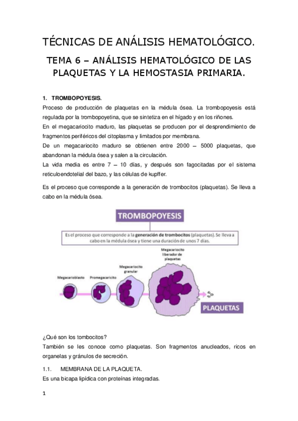 Miniatura del documento Tema-6-Analisis-Hematologico.pdf