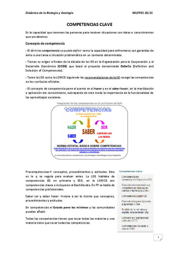 Miniatura del documento COMPETENCIAS-TEMA-final.pdf