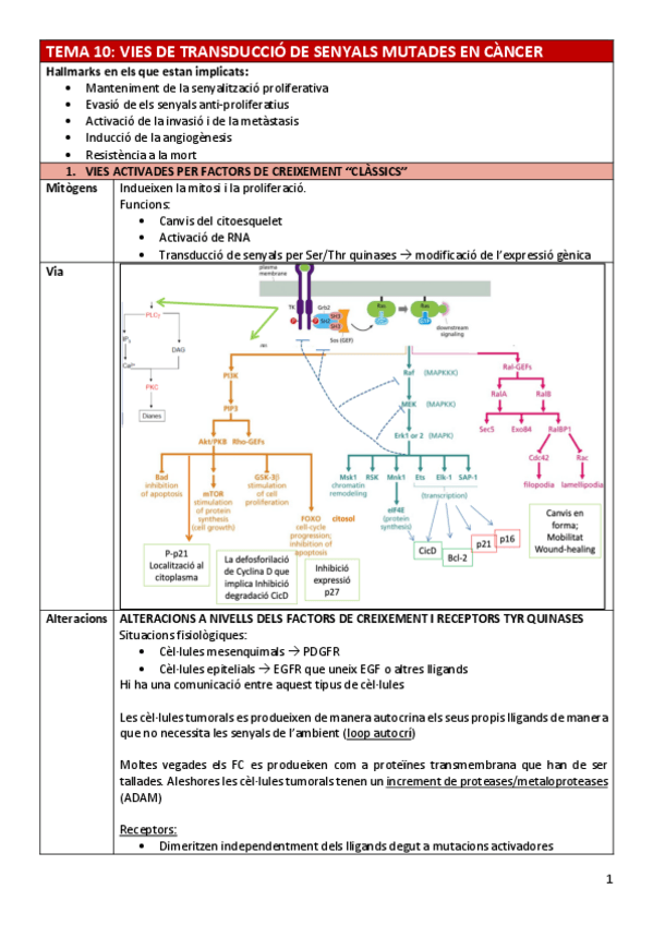Miniatura del documento BC-Tema10viessenyal.pdf