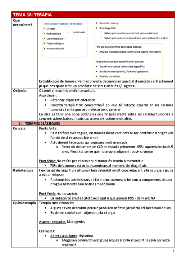 Miniatura del documento BC-Tema18terapia.pdf