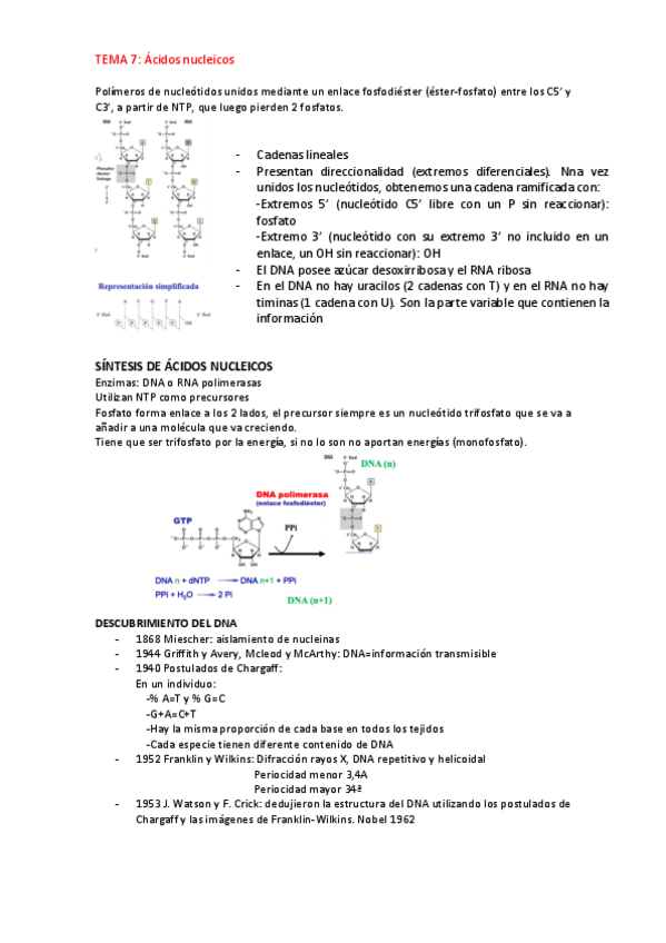 Miniatura del documento ac.-nucleicos.pdf