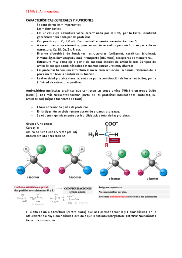 Miniatura del documento aminoacidos.pdf
