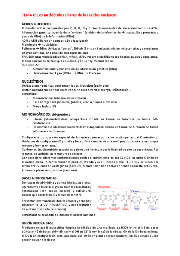 Miniatura del documento nucleotidos.pdf