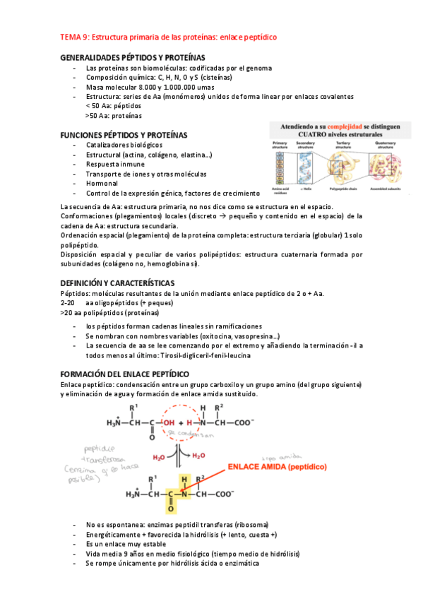 Miniatura del documento proteinas.pdf