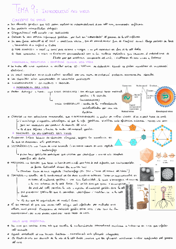 Miniatura del documento Tema-9microbiologia.pdf