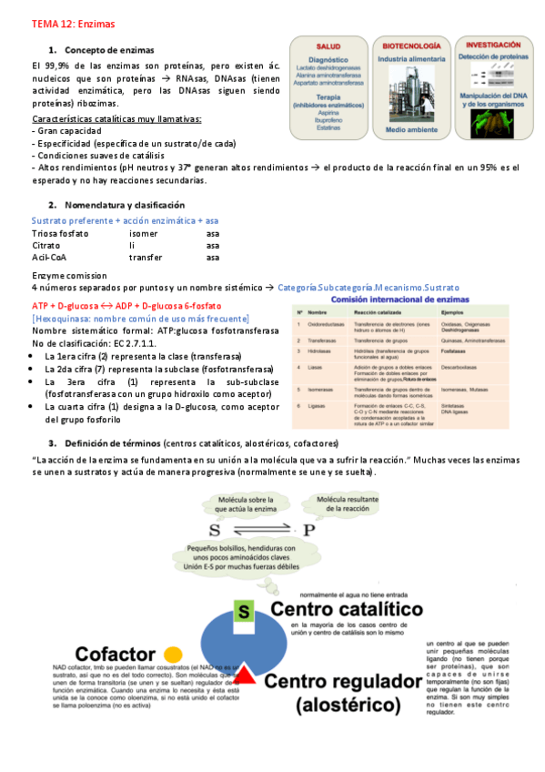 Miniatura del documento Enzimas.pdf