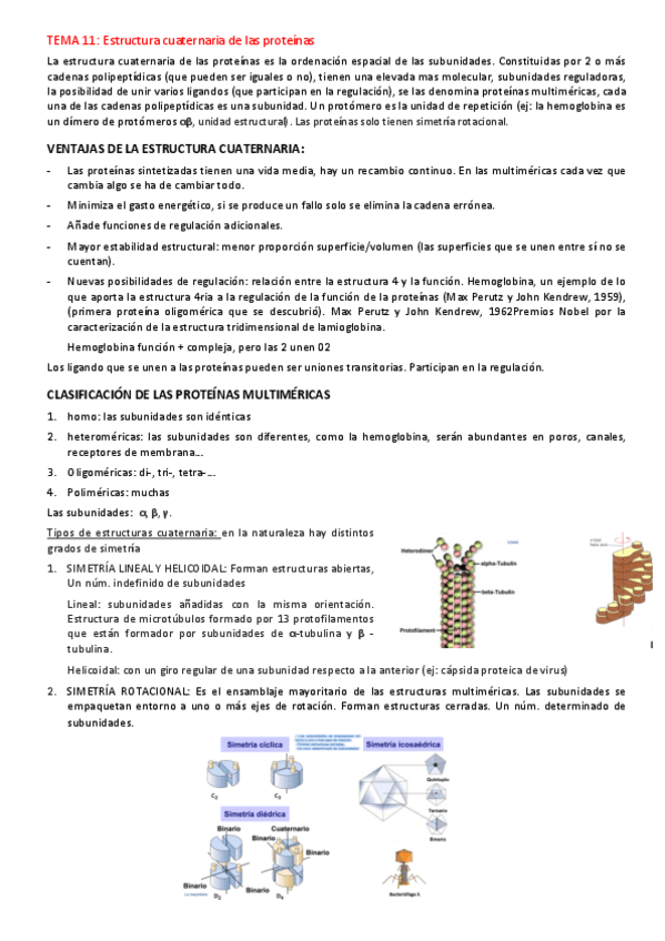 Miniatura del documento Estructura-cuaternaria-de-las-proteinas.pdf