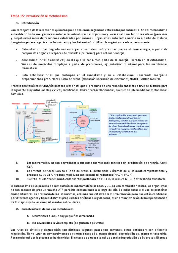 Miniatura del documento Introduccion-al-metabolismo.pdf