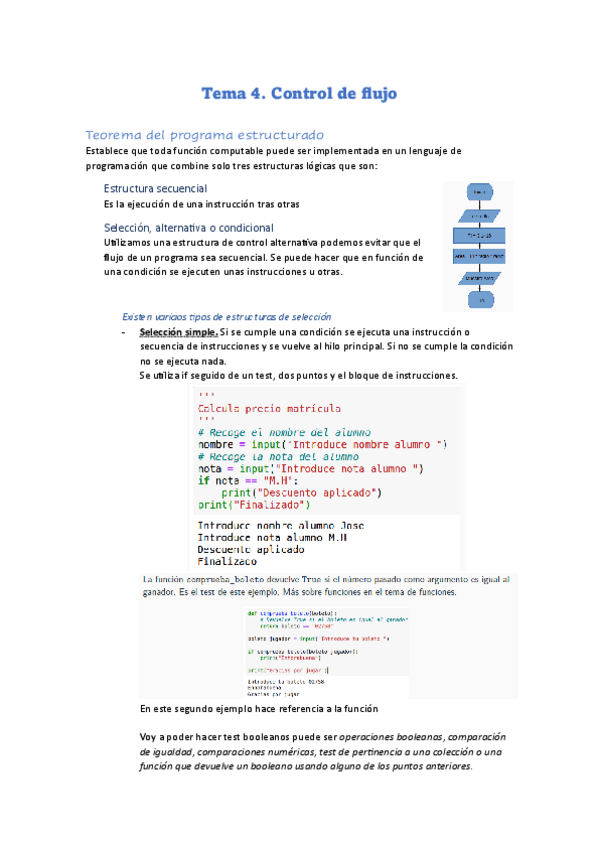 Miniatura del documento Tema-4.-Control-de-flujo.pdf