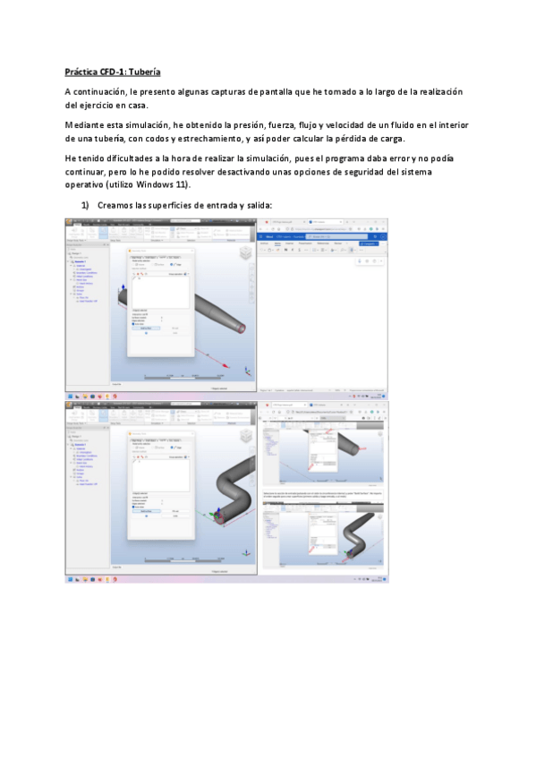 Miniatura del documento CFD1-tuberia.pdf