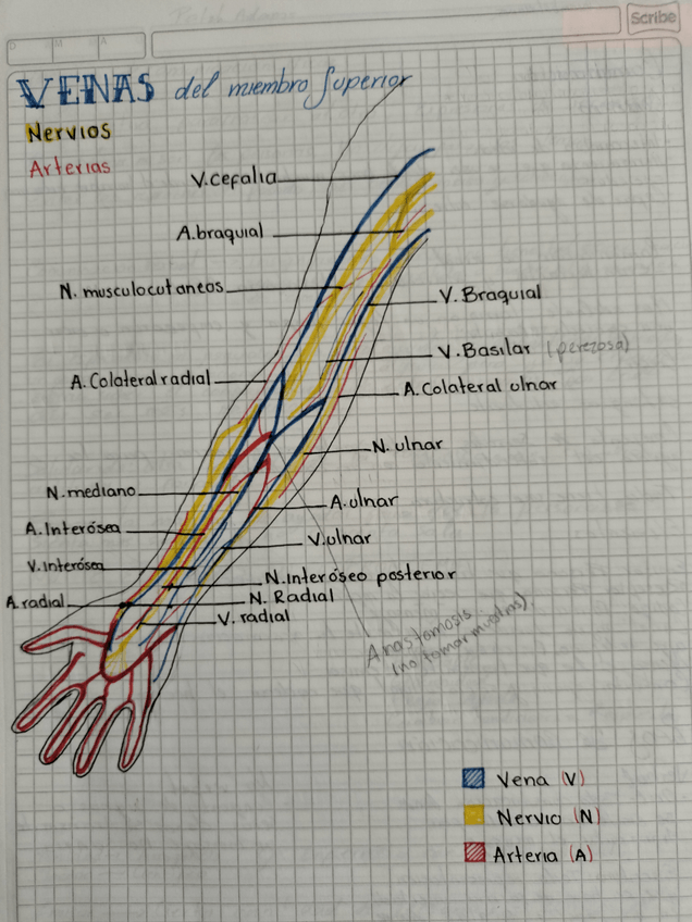 Miniatura del documento 16802783531535468745424474834336.jpg