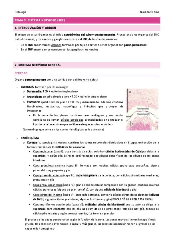 Miniatura del documento TEMA 9 - Sistema nervioso.pdf