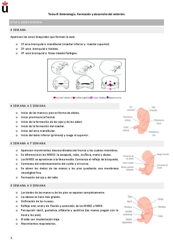 Miniatura del documento Bloque-Neuro-infantil.pdf