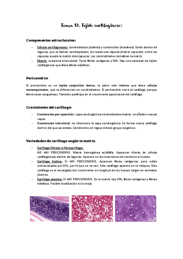 Miniatura del documento tema-13-tejido-cartilaginoso.pdf