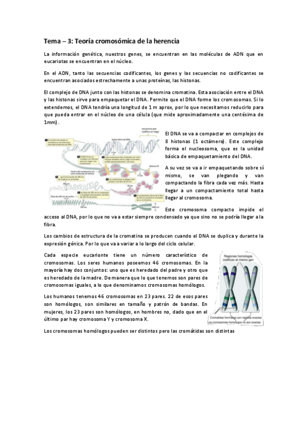 Miniatura del documento Genetica-T-3.pdf