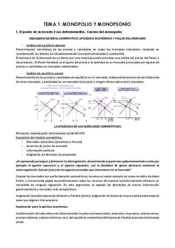 Miniatura del documento TEMA-1.pdf