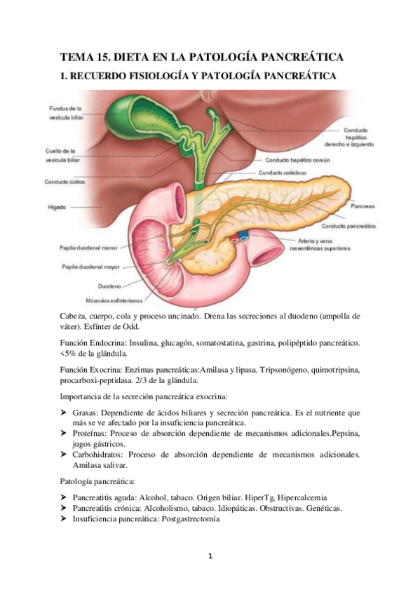 Miniatura del documento TEMA-15.-DIETA-EN-LA-PATOLOGIA-PANCREATICA.pdf