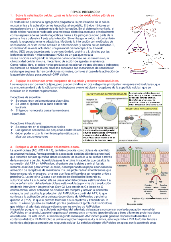Miniatura del documento BIOLOGIA EXAMEN SEMINARIO DE REPASO INTEGRADO-2.pdf