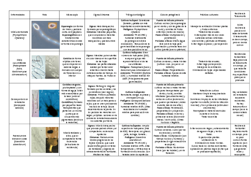 Miniatura del documento Resumen-de-enfermedades-practicas.pdf