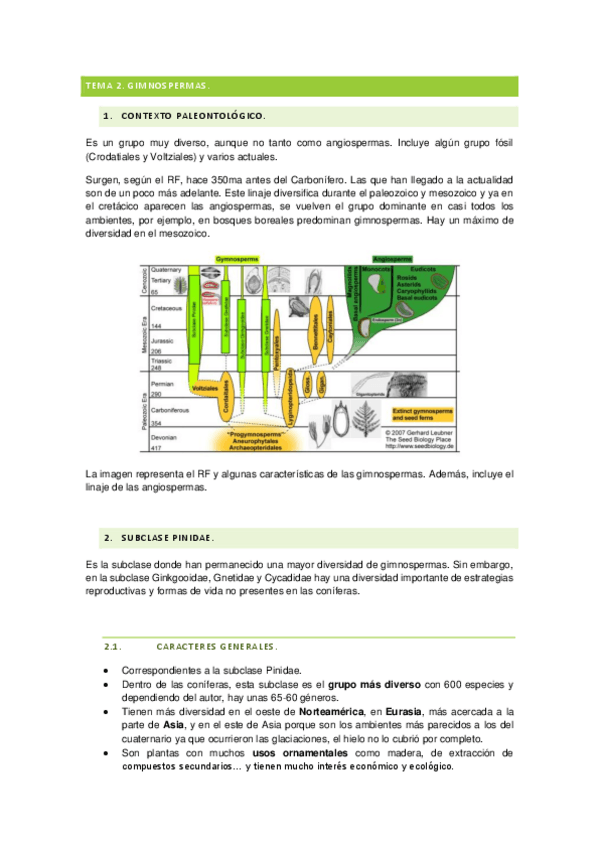 Miniatura del documento BCE-tema-2-gimnospermas.pdf