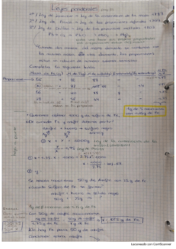Miniatura del documento leyes-ponderales.pdf