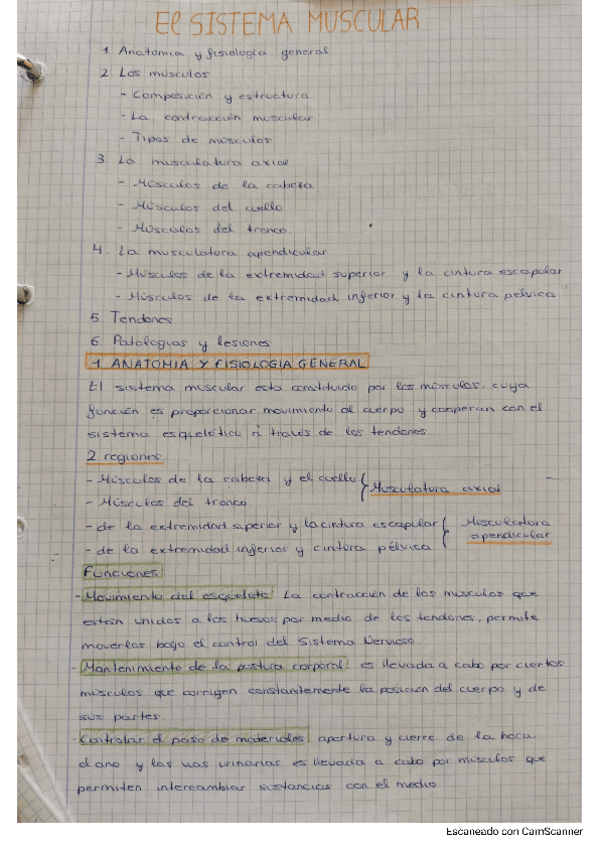 Miniatura del documento Tema-4.-Sistema-muscular.pdf