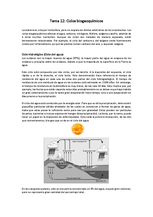 Miniatura del documento ECO1-TEMA-12.pdf