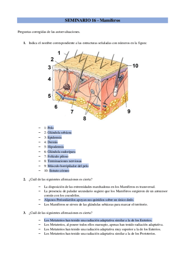 Miniatura del documento Eval-Seminario-16Mamiferos.pdf