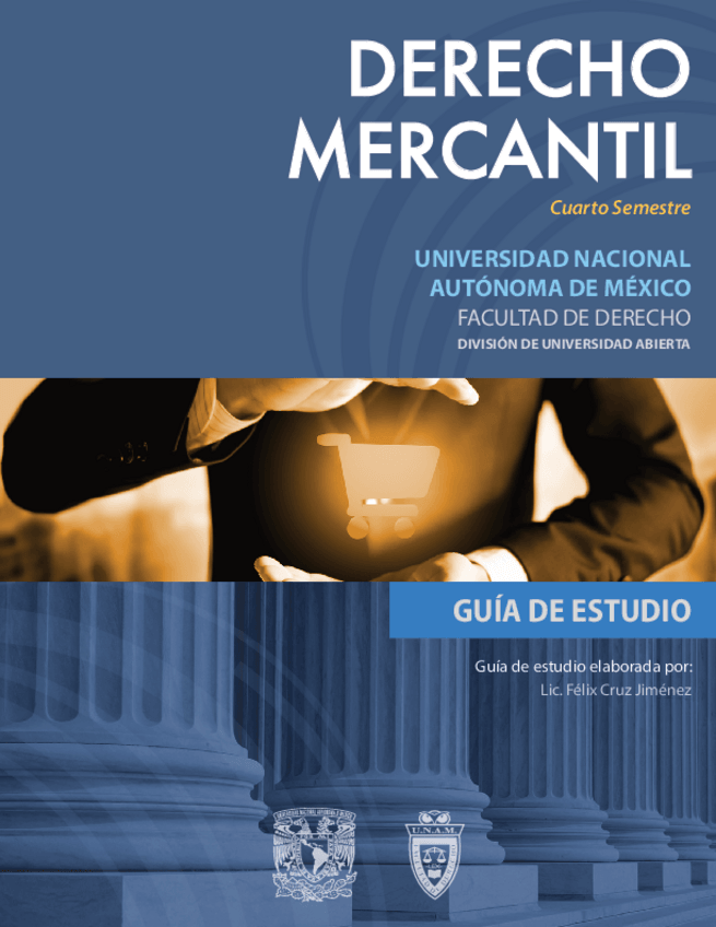 Miniatura del documento guia-dmercantil.pdf