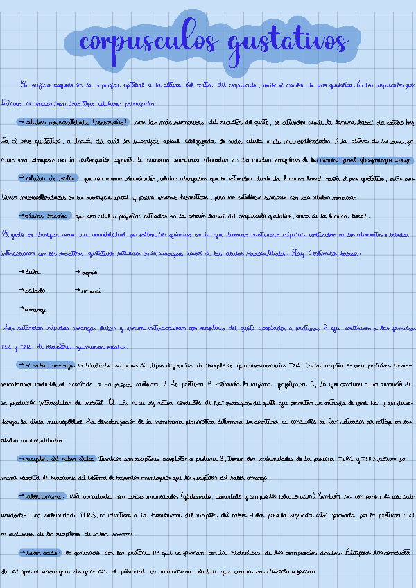 Miniatura del documento Corpusculos-gustativos.pdf