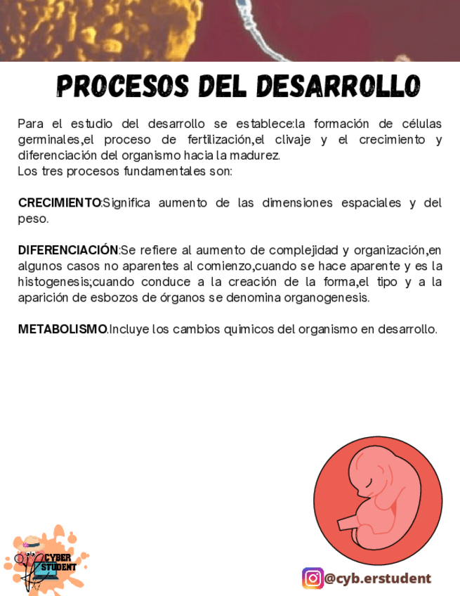 Miniatura del documento PROCESOS-DEL-DESARROLLO.pdf