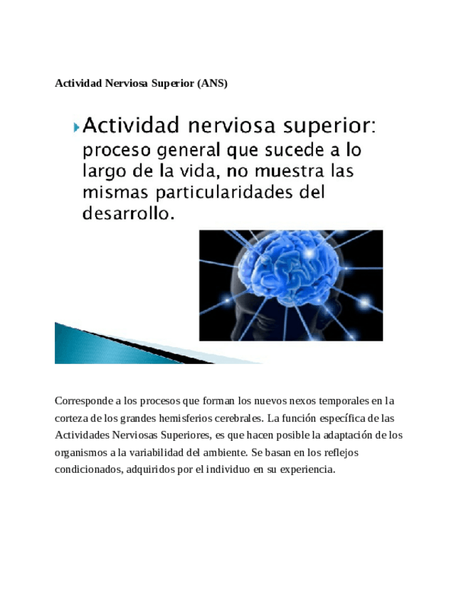 Miniatura del documento Actividad-Nerviosa-Superior.pdf