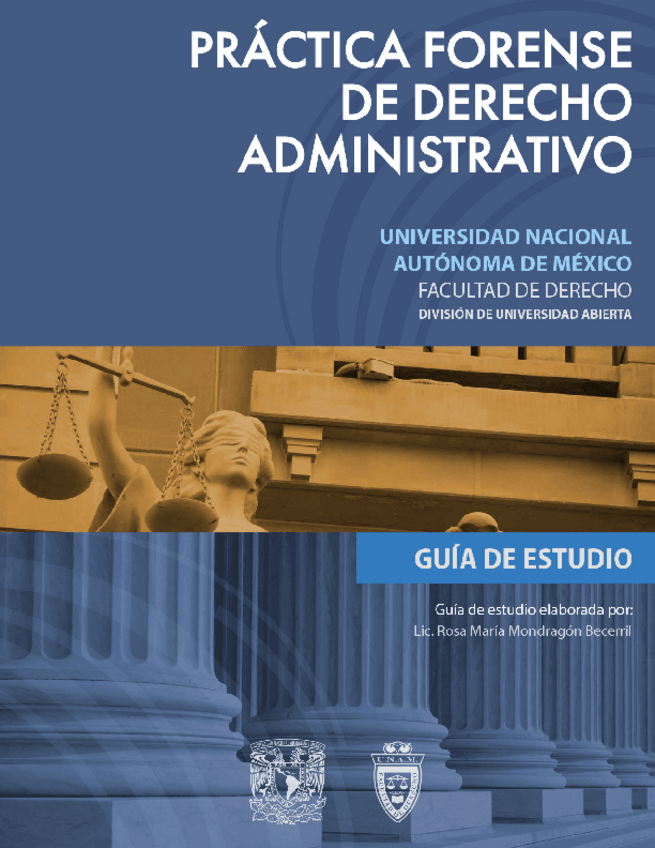 Miniatura del documento guia.pdf