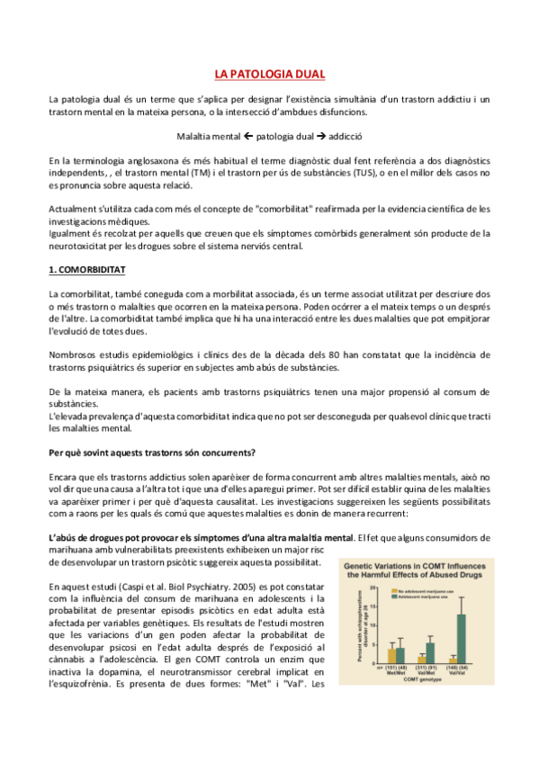 Miniatura del documento Seminari-3-LA-PATOLOGIA-DUAL.pdf