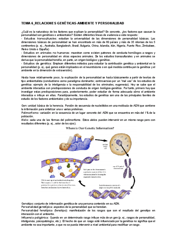 Miniatura del documento TEMA-6RELACIONES-GENETICAS-AMBIENTE-Y-PERSONALIDAD.pdf